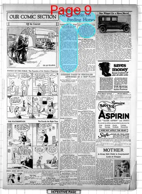 Page thumbnail for The Ely Miner