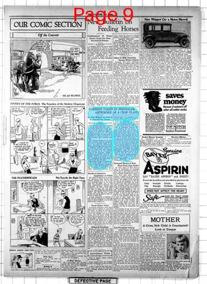 Page thumbnail for The Ely Miner