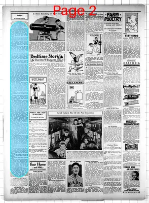 Page thumbnail for The Ely Miner