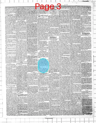 Page thumbnail for Saint Paul Weekly Minnesotian