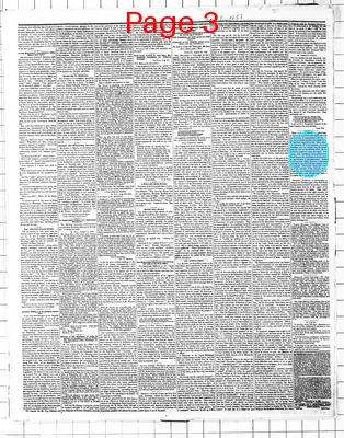Page thumbnail for Saint Paul Weekly Minnesotian