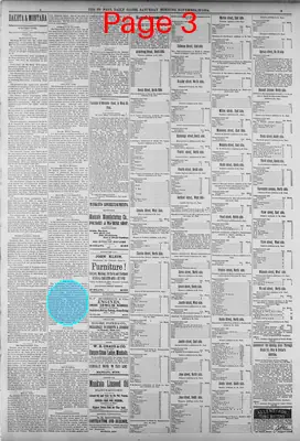 Page thumbnail for St. Paul Daily Globe