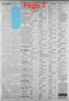 Page thumbnail for St. Paul Daily Globe