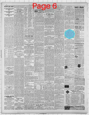 Page thumbnail for St. Paul Daily Globe