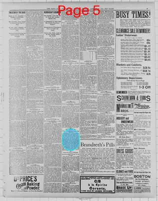 Page thumbnail for St. Paul Daily Globe