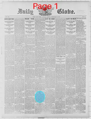 Page thumbnail for St. Paul Daily Globe