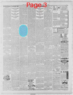 Page thumbnail for St. Paul Daily Globe