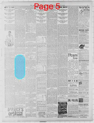 Page thumbnail for St. Paul Daily Globe