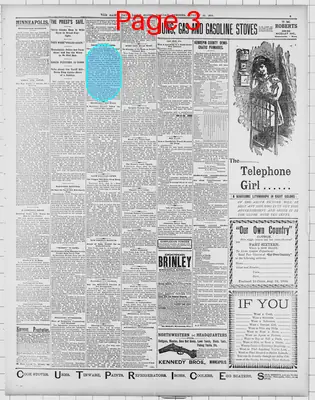 Page thumbnail for St. Paul Daily Globe