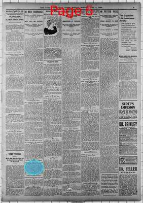Page thumbnail for St. Paul Daily Globe