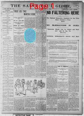 Page thumbnail for The Saint Paul Globe