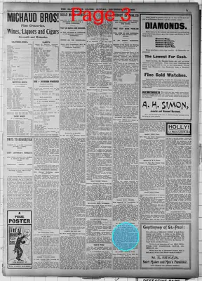 Page thumbnail for The Saint Paul Globe