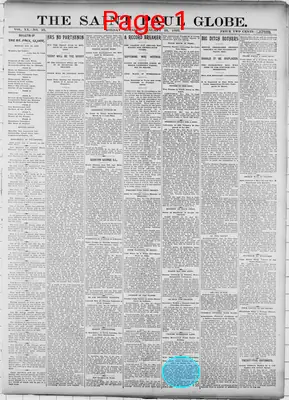 Page thumbnail for The Saint Paul Globe