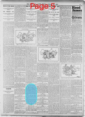 Page thumbnail for The Saint Paul Globe