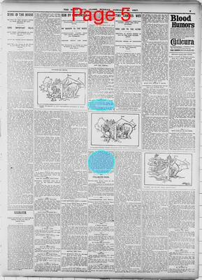 Page thumbnail for The Saint Paul Globe