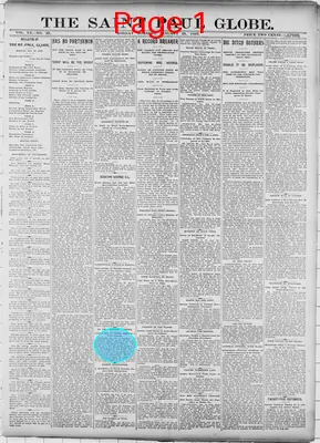 Page thumbnail for The Saint Paul Globe
