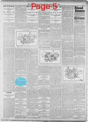 Page thumbnail for The Saint Paul Globe