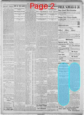Page thumbnail for The Saint Paul Globe