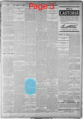 Page thumbnail for The Saint Paul Globe