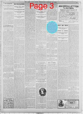 Page thumbnail for The Saint Paul Globe