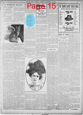 Page thumbnail for The Saint Paul Globe