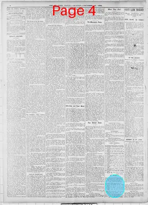 Page thumbnail for The Saint Paul Globe
