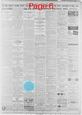 Page thumbnail for The Saint Paul Globe