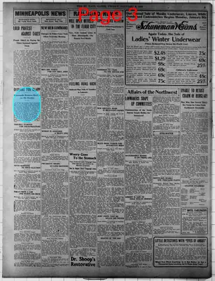 Page thumbnail for The Saint Paul Globe