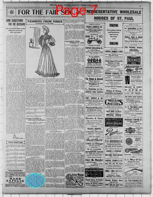 Page thumbnail for The Saint Paul Globe