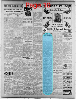 Page thumbnail for The Saint Paul Globe