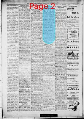 Page thumbnail for The Irish Standard