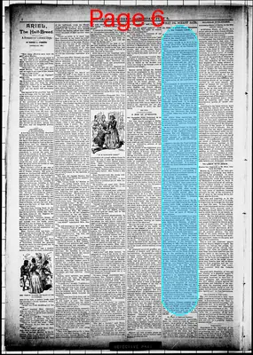 Page thumbnail for The Irish Standard