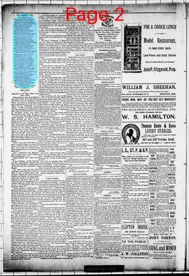 Page thumbnail for The Irish Standard
