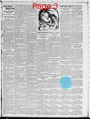 Page thumbnail for The Irish Standard