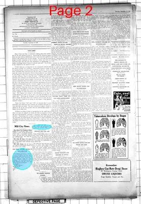 Page thumbnail for Twin City Herald
