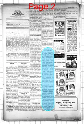 Page thumbnail for Twin City Herald