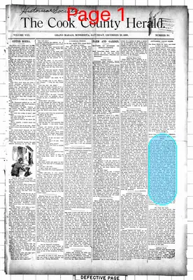 Page thumbnail for The Cook County Herald