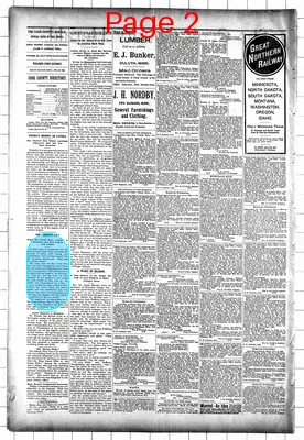 Page thumbnail for The Cook County Herald