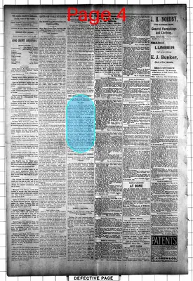 Page thumbnail for The Cook County Herald