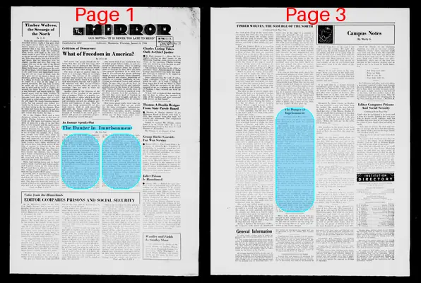 Page thumbnail for The Prison Mirror