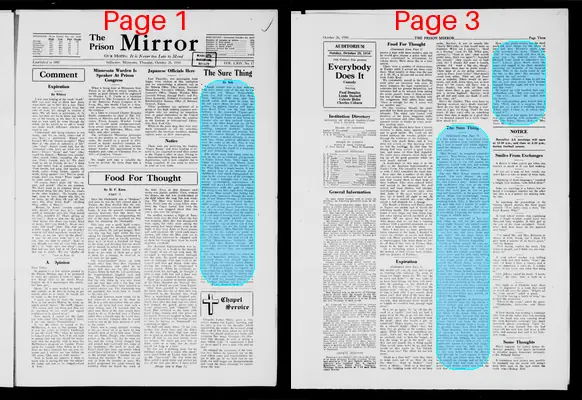 Page thumbnail for The Prison Mirror