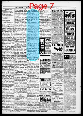 Page thumbnail for The Sedalia Weekly Bazoo