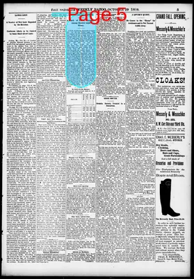 Page thumbnail for The Sedalia Weekly Bazoo