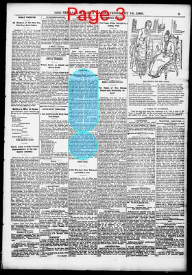 Page thumbnail for The Sedalia Weekly Bazoo