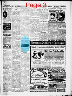 Page thumbnail for Potosi Journal