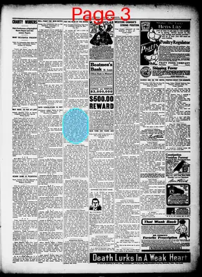 Page thumbnail for Potosi Journal