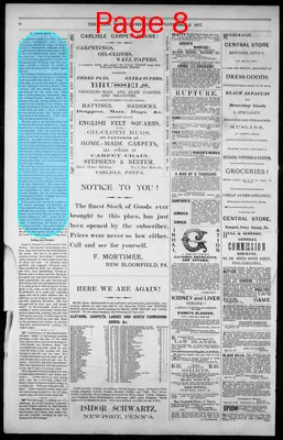 Page thumbnail for The New Bloomfield, Pa. Times