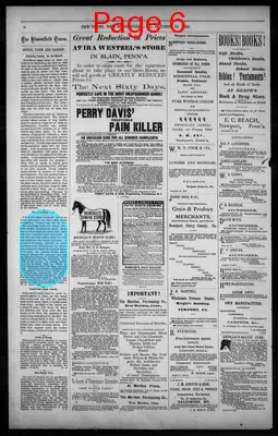 Page thumbnail for The New Bloomfield, Pa. Times