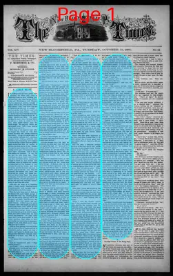 Page thumbnail for The New Bloomfield, Pa. Times