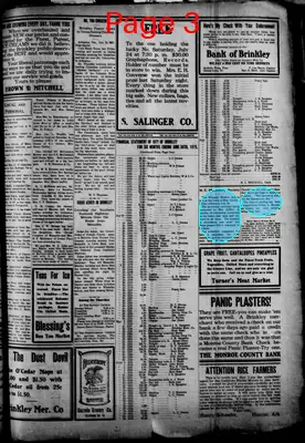 Page thumbnail for The Brinkley Argus